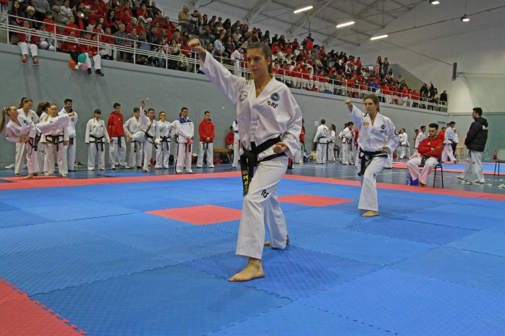 III Copa Seúl (144).jpg